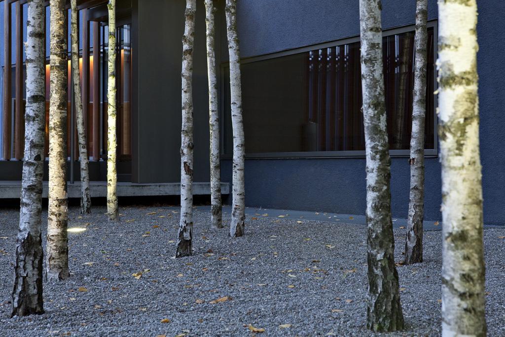 Greulich Design & Boutique Hotel Цюрих Екстериор снимка